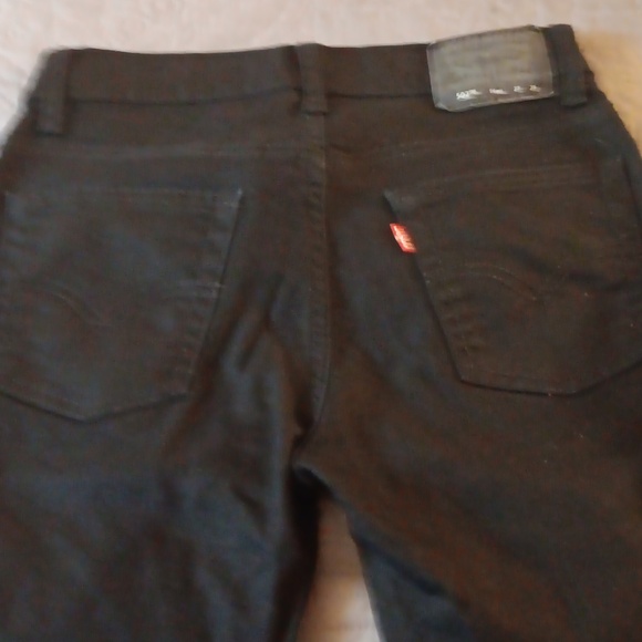 Levi - Picture 2 of 3